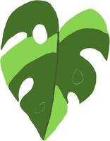 a green leaf with a heart shape vector