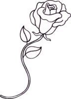 A rose is about to bloom on an S-shaped stem with two leaves attached, Line art, hand-drawn watercolor illustration png