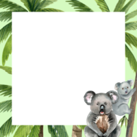 A koala is a mammal that feeds on eucalyptus leaves, hand-drawn watercolor painting frame design png