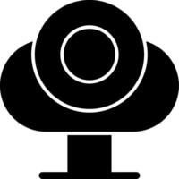 Web Camera Glyph Icon vector