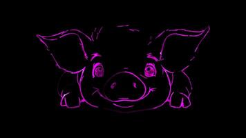 Neon frame effect, Pig cheerful and floppy ears on black background video