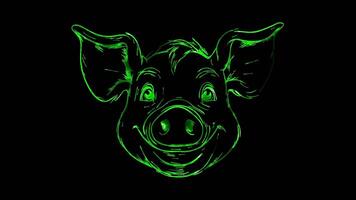 Neon frame effect, Pig cheerful and floppy ears on black background video