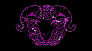 Neon frame effect, Sheep fluffy sheep with curly wool and a friendly expression on black background video