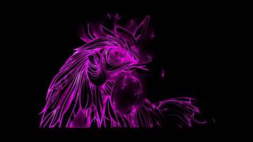Neon frame effect, Chicken on black background video