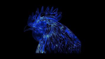 Neon frame effect, Chicken on black background video
