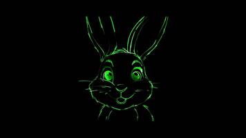 Neon frame effect, Bunny cute bunny with long ears and whiskers on black background video