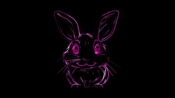 Neon frame effect, Bunny cute bunny with long ears and whiskers on black background video