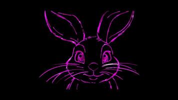 Neon frame effect, Bunny cute bunny with long ears and whiskers on black background video