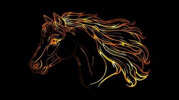 Neon frame effect, Horse gallant horse with a flowing mane and big, friendly eyes on black background video