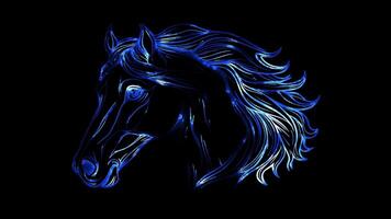 Neon frame effect, Horse gallant horse with a flowing mane and big, friendly eyes on black background video