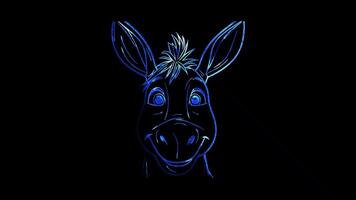 Neon frame effect, Donkey funny donkey with big ears and a cheeky grin on black background video