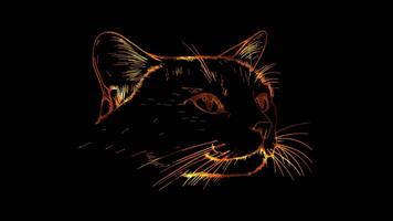 Neon frame effect, Cat playful cat with whiskers and a little bell collar on black background video