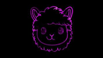 Neon frame effect, Alpaca fluffy alpaca with big eyes and a gentle smile on black background video