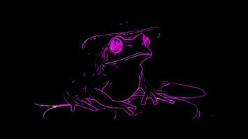 Neon frame effect, Frog cute frog wearing a straw hat, sitting on a lily pad on black background video