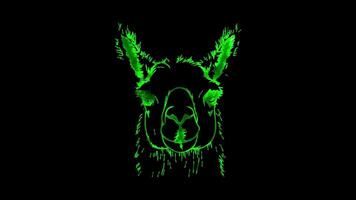Neon frame effect, Llama friendly llama with a fluffy body and a curious look on black background video