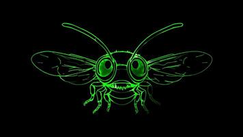 Neon frame effect, Bee buzzing bee with big eyes and tiny wings on black background video