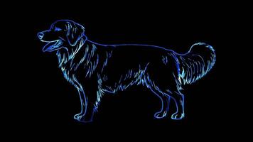 Neon frame effect, Dog loyal dog with floppy ears and a happy tail wagging on black background video