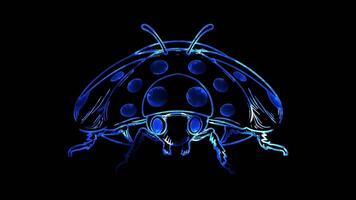 Neon frame effect, Ladybug cheerful ladybug with polka dots and a sweet smile on black background video