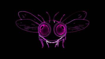 Neon frame effect, Bee buzzing bee with big eyes and tiny wings on black background video