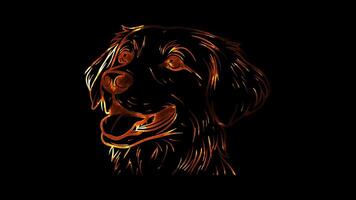 Neon frame effect, Dog loyal dog with floppy ears and a happy tail wagging on black background video