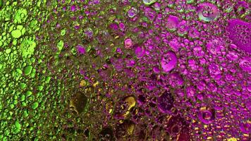 Abstract Colorful Shiny Oil Bubbles Circles video