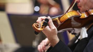 Professional symphonic string orchestra performing on stage and playing a classical music concert, violinist in a foreground video