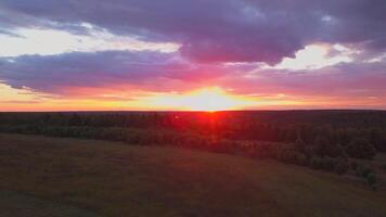 Beautiful view of the city taken from a bird's-eye view. Clip. Purple sky with the setting sun and green fields surrounded by trees. video