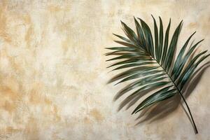 A single palm leaf casting intricate shadows on a textured beige background in soft afternoon light photo