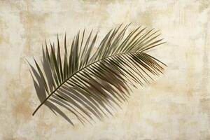 A single palm leaf casting intricate shadows on a textured beige background in soft afternoon light photo