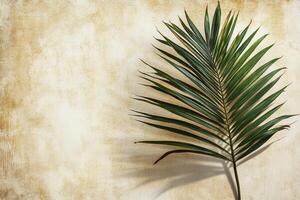 A single palm leaf casting intricate shadows on a textured beige background in soft afternoon light photo
