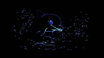 Neon frame effect, Dolphin smiling dolphin with big eyes and playful waves around it on black background video