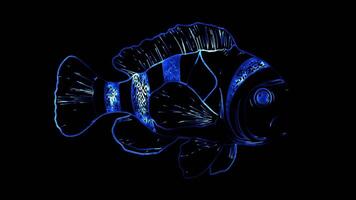 Neon frame effect, Clownfish playful smile on black background video