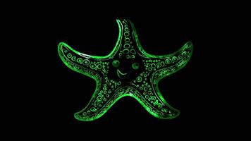 Neon frame effect, Starfish starfish with a friendly face and patterns on its arms on black background video