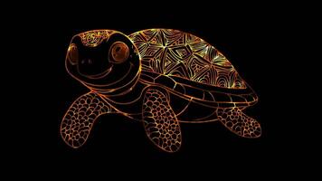 Neon frame effect, Starfish starfish with a friendly face and patterns on its arms on black background video
