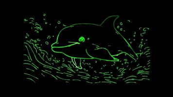 Neon frame effect, Dolphin smiling dolphin with big eyes and playful waves around it on black background video