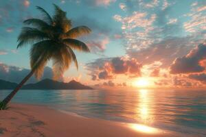 A tranquil sunset over the ocean with a palm tree leaning on a sandy beach and rocky coast photo
