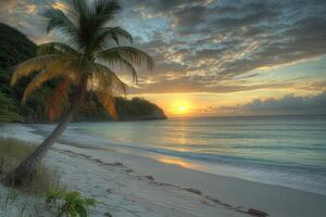 A tranquil sunset over the ocean with a palm tree leaning on a sandy beach and rocky coast photo