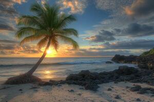 A tranquil sunset over the ocean with a palm tree leaning on a sandy beach and rocky coast photo