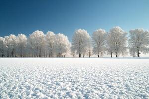 Winter landscape with snow covered trees under a clear blue sky in a serene setting photo