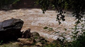 A strong current near a waterfall. Floods flowing in mountain rivers after heavy rains. Flash floods, the effects of global warming and the effects of deforestation. video