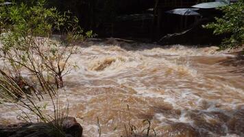 A strong current near a waterfall. Floods flowing in mountain rivers after heavy rains. Flash floods, the effects of global warming and the effects of deforestation. video