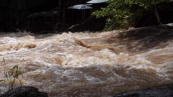 A strong current near a waterfall. Floods flowing in mountain rivers after heavy rains. Flash floods, the effects of global warming and the effects of deforestation. video