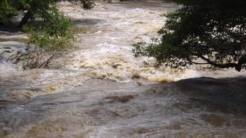 A strong current near a waterfall. Floods flowing in mountain rivers after heavy rains. Flash floods, the effects of global warming and the effects of deforestation. video