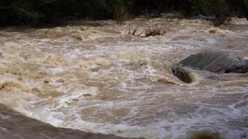 A strong current near a waterfall. Floods flowing in mountain rivers after heavy rains. Flash floods, the effects of global warming and the effects of deforestation. video