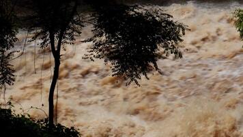 A strong current near a waterfall. Floods flowing in mountain rivers after heavy rains. Flash floods, the effects of global warming and the effects of deforestation. video