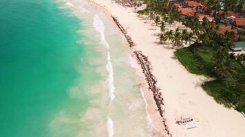Aerial view of resort beach with coconut trees and turquoise ocean on island video