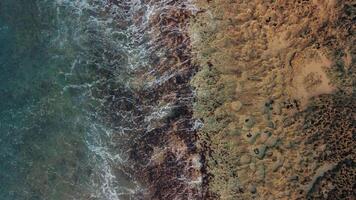 Top view of the coral coast.Turquoise ocean waves are lapping at the coral shore.A relaxing drone shot on the beach of a tropical resort.Waves break with foam on the shore. A paradise for impressions. video
