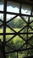vertical old wooden window in an abandoned village house video