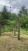 vertical barbed wire fence. protected area. border video