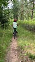 vertical pov view through the steering wheel of a bicycle video